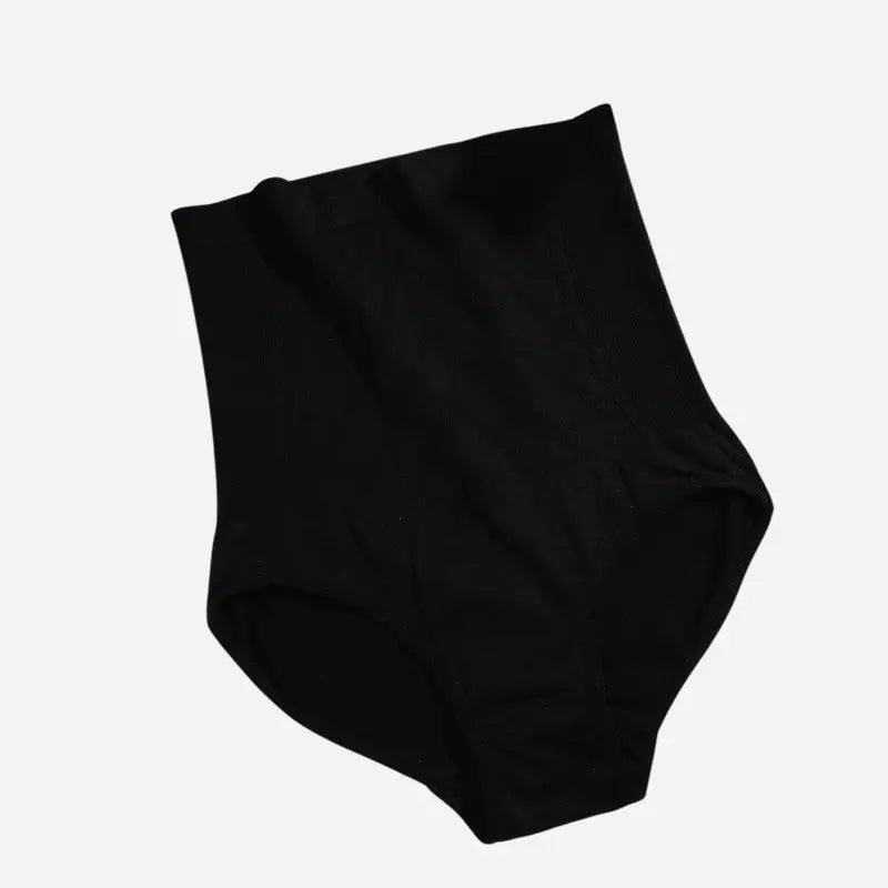HighRise Sculpt Briefs